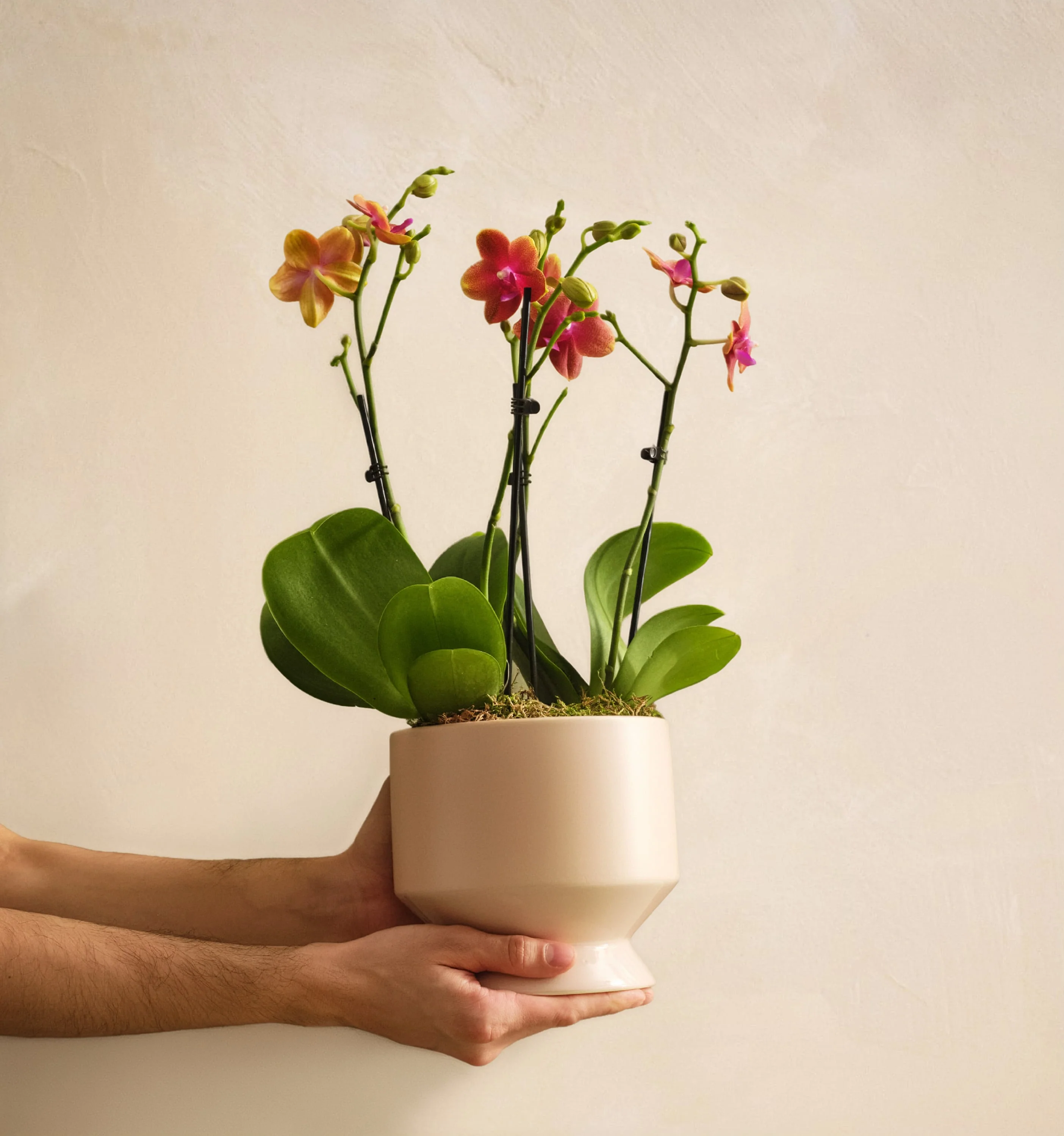 Salem Oregon Local Flower Delivery