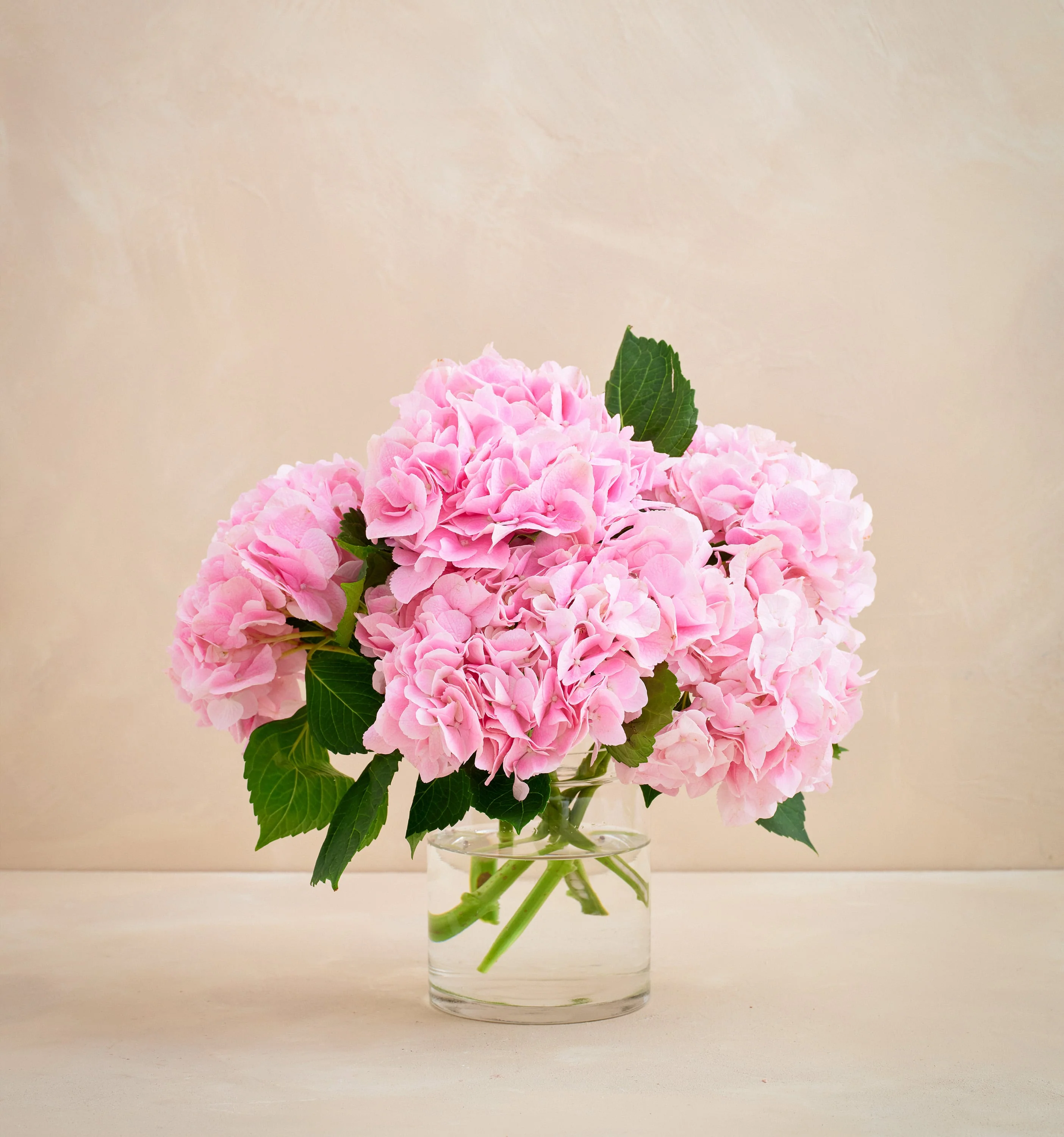 Concord New Hampshire Local Flower Delivery